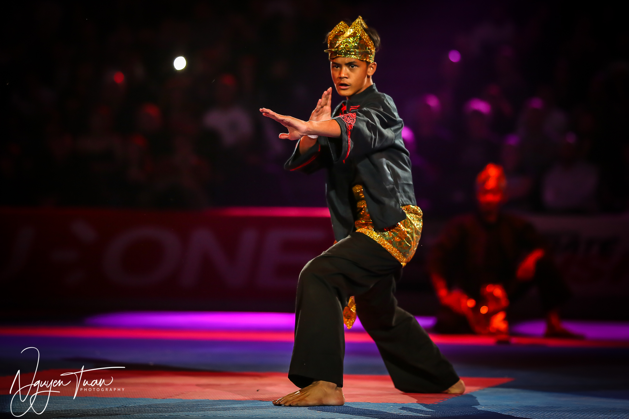 20190324 Festival des Arts Martiaux 4016